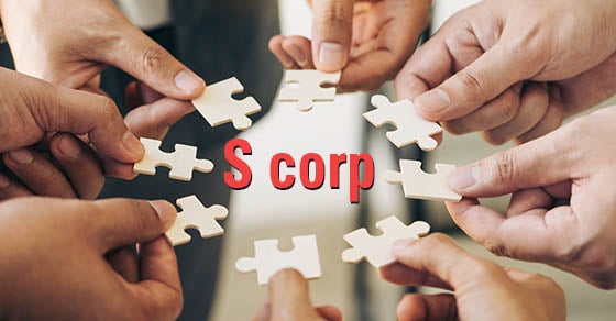 S corporation entity - information 